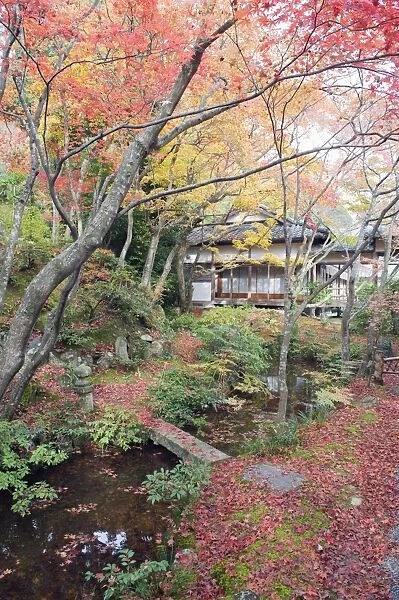 Autumn maple leaves at the 16th century Jojakko ji (Jojakkoji) Temple, Arashiyama Sagano area