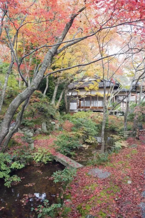 Framed Print : Autumn maple leaves at the 16th century Jojakko ji (Jojakkoji) Temple, Arashiyama Sagano area Framed Print : Autumn maple leaves at the 16th century Jojakko ji (Jojakkoji) Temple, Arashiyama Sagano area