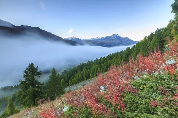 Autumn mist dissolving and revealing the top of Piz la Margna towering over the other peaks of Engadine, near St. Moritz, Graubunden, Switzerland, Europe