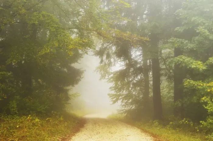 Framed Print : Autumn scene in morning fog, Swabian Alb, Baden-Wurttemberg, Germany, Europe