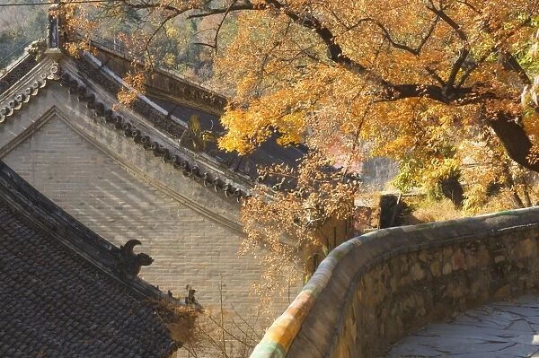 Autumn scene, Tanzhe Temple, Beijing, China, Asia