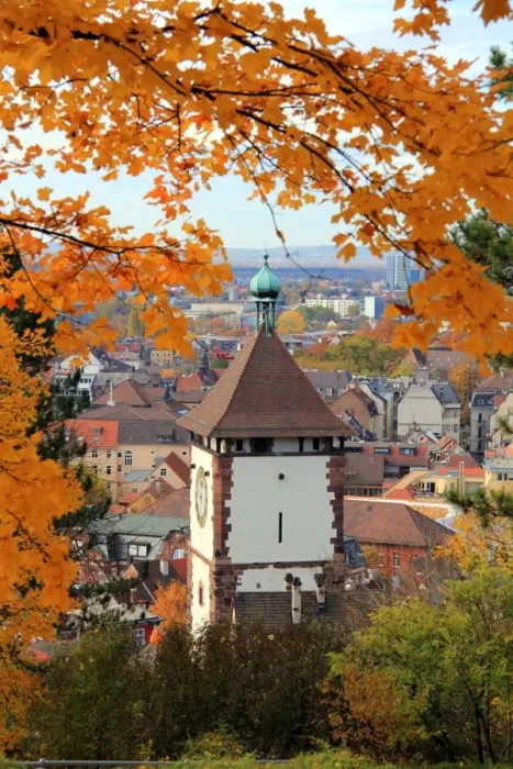 Framed Print : Autumn at Schlossberg, Schwabentor, Freiburg, Baden-Wurttemberg, Germany, Europe Framed Print : Autumn at Schlossberg, Schwabentor, Freiburg, Baden-Wurttemberg, Germany, Europe