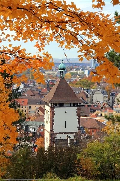 Autumn at Schlossberg, Schwabentor, Freiburg, Baden-Wurttemberg, Germany, Europe