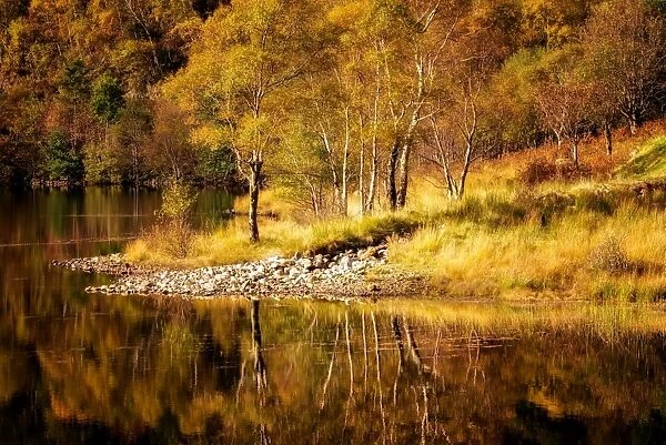 Autumn in the Scottish Highlands, Scotland, United Kingdom, Europe