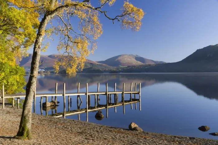 Framed Print : Autumn sunshine over Brandlehow, Borrowdale, The Lake District National Park, Cumbria Framed Print : Autumn sunshine over Brandlehow, Borrowdale, The Lake District National Park, Cumbria