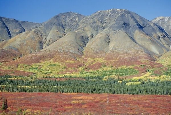 Autumn tundra landscape