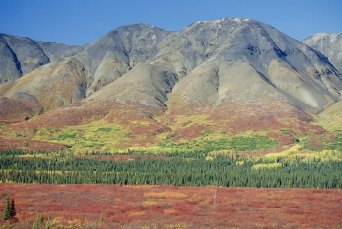 Framed Print : Autumn tundra landscape Framed Print : Autumn tundra landscape