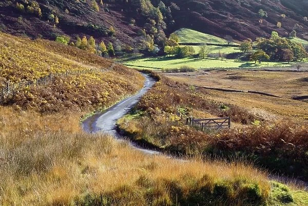 An autumn view of a gate and winding road through the fern covered hills and fells