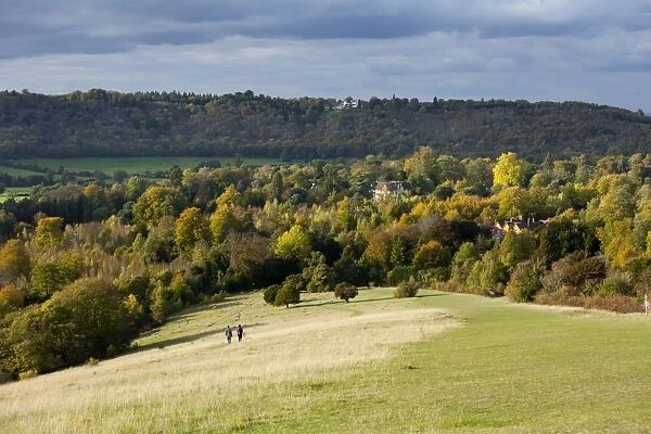 Autumn view north along the Burford Spur of Box Hill, Surrey HIlls, North Downs