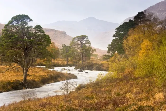 Framed Print : Autumn view along Torridon River and Glen Torridon, Wester Ross, Highlands Framed Print : Autumn view along Torridon River and Glen Torridon, Wester Ross, Highlands