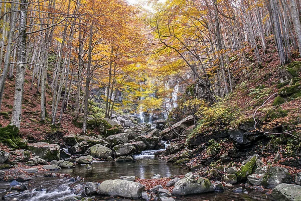 Autumn woods and waterfall in the background, Dardagna Waterfalls