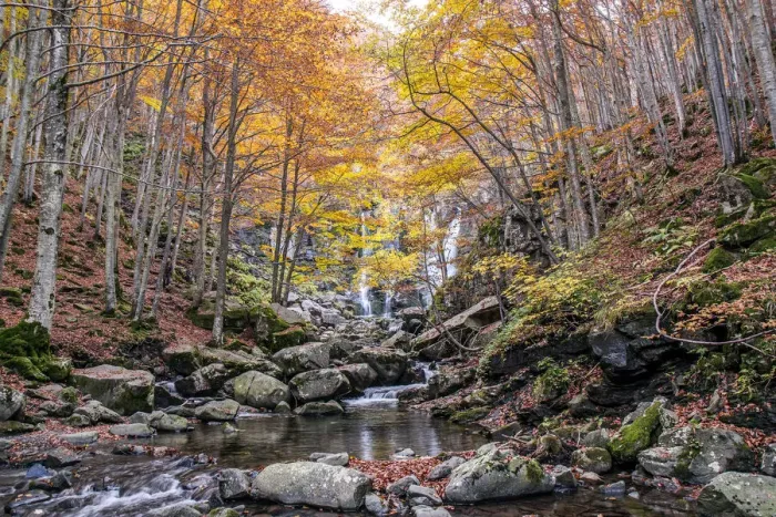 Framed Print : Autumn woods and waterfall in the background, Dardagna Waterfalls Framed Print : Autumn woods and waterfall in the background, Dardagna Waterfalls