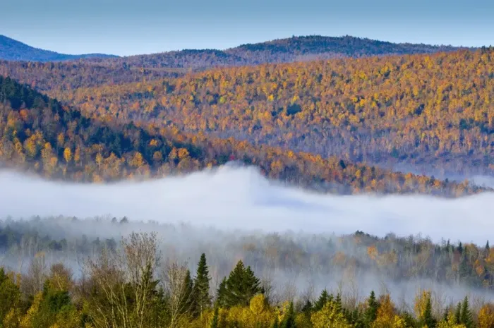 Framed Print : Autumnal foliage, New Hampshire, New England, United States of America, North America Framed Print : Autumnal foliage, New Hampshire, New England, United States of America, North America