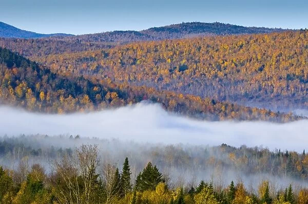 Autumnal foliage, New Hampshire, New England, United States of America, North America