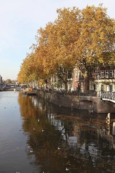 Autumnal leaves reflect in the water of a canal in central Utrecht, Utrecht Province