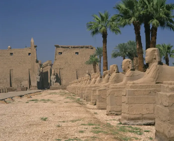 Framed Print : The Avenue of Sphinxes, leading to the Colossi of Ramses II, guarding Luxor Temple Framed Print : The Avenue of Sphinxes, leading to the Colossi of Ramses II, guarding Luxor Temple
