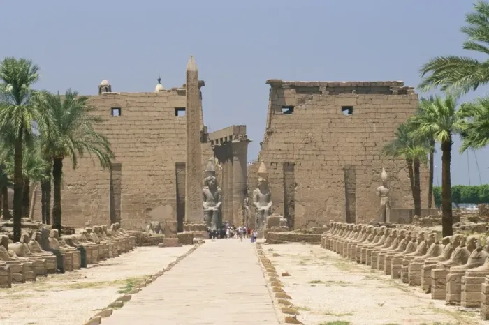 Framed Print : Avenue of sphinxes looking towards statues of Ramses II, Luxor Temple, Luxor Framed Print : Avenue of sphinxes looking towards statues of Ramses II, Luxor Temple, Luxor