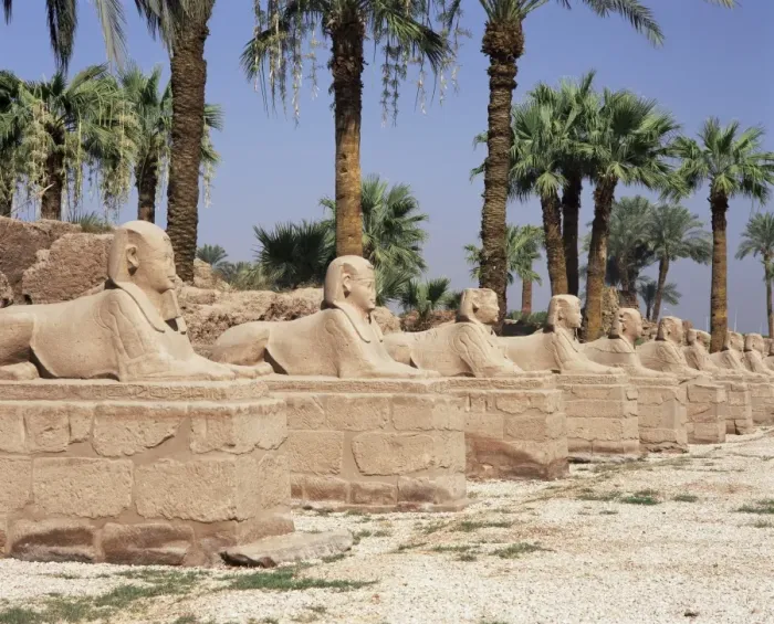 Framed Print : Avenue of sphinxes, Luxor Temple, Luxor, Thebes, UNESCO World Heritage Site Framed Print : Avenue of sphinxes, Luxor Temple, Luxor, Thebes, UNESCO World Heritage Site