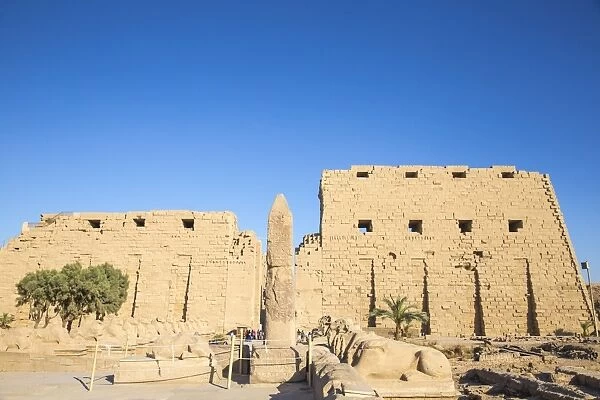 Avenue of Sphinxes, Luxor Temple, UNESCO World Heritage Site, Luxor, Egypt, North Africa