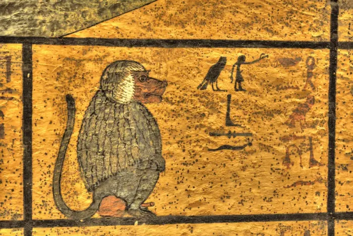 Framed Print : Baboon, West Wall Mural, Tomb of Tutankhamun, KV62, Valley of the Kings Framed Print : Baboon, West Wall Mural, Tomb of Tutankhamun, KV62, Valley of the Kings