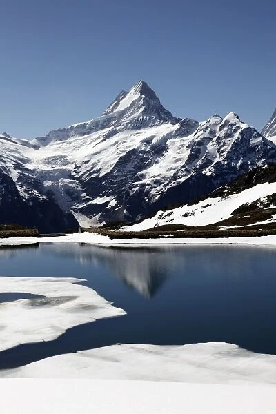 Bachalpsee at Grindelwald-First and Bernese Alps, Bernese Oberland, Swiss Alps