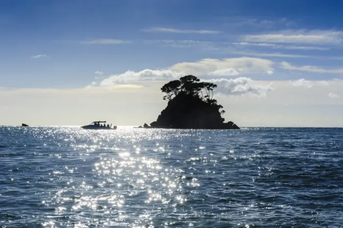 Framed Print : Backlight of a lonely rock sitting in the ocean, Abel Tasman National Park, South Island, New Zealand, Pacific Framed Print : Backlight of a lonely rock sitting in the ocean, Abel Tasman National Park, South Island, New Zealand, Pacific