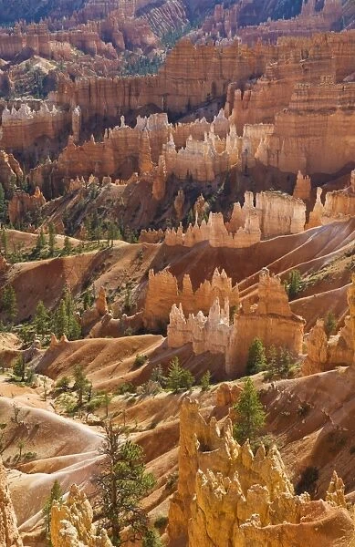 Backlit sandstone hoodoos in Bryce Amphitheater, Bryce Canyon National Park