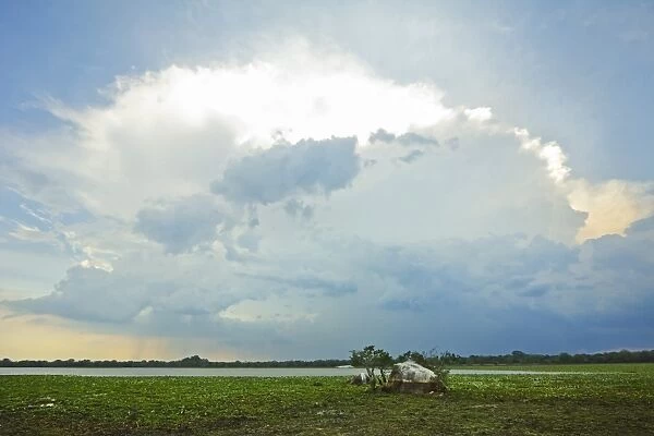 Backlit storm cloud over a lagoon (tank) at Kumana National Park, formerly Yala East, Kumana, Eastern Province, Sri Lanka, Asia