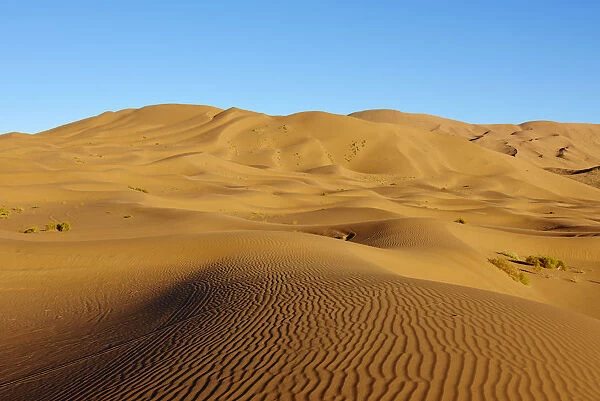 Badain Jaran Desert, Gobi Desert, Inner Mongolia, China, Asia
