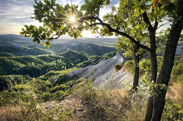 Badlands and green hills framed by trees and a sunburst, Emilia Romagna, Italy, Europe