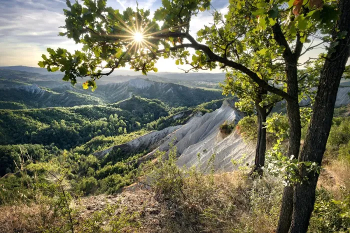 Framed Print : Badlands and green hills framed by trees and a sunburst, Emilia Romagna, Italy, Europe Framed Print : Badlands and green hills framed by trees and a sunburst, Emilia Romagna, Italy, Europe