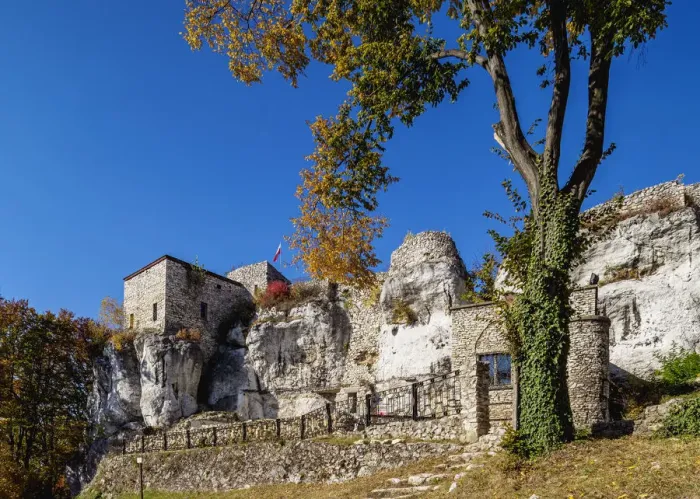 Framed Print : Bakowiec Castle in Morsko, Trail of the Eagles Nests, Krakow-Czestochowa Upland Framed Print : Bakowiec Castle in Morsko, Trail of the Eagles Nests, Krakow-Czestochowa Upland