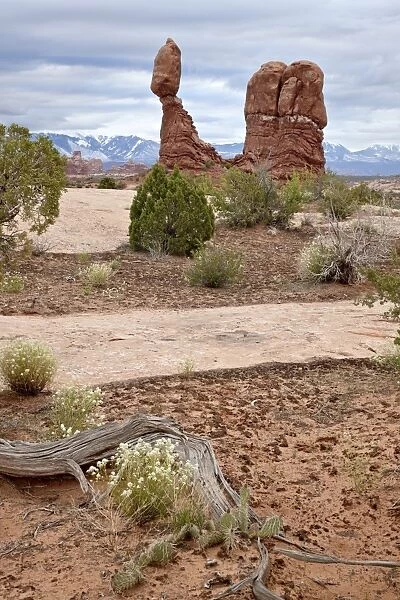 Balanced Rock on a cloudy morning, Arches National Park, Utah, United States of America