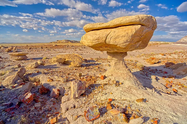 Balanced rock that resembles a toadstool, petrified wood scattered around the formation