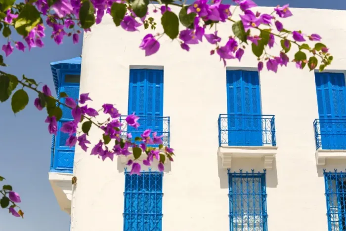 Framed Print : Balcony, Sidi Bou said, Tunisia, North Africa, Africa Framed Print : Balcony, Sidi Bou said, Tunisia, North Africa, Africa