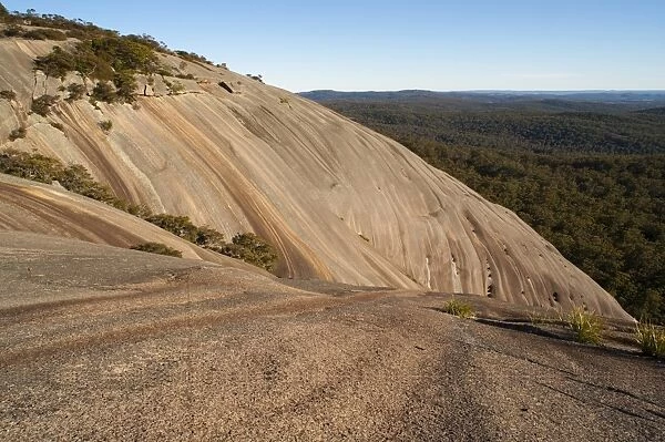 Bald Rock, Tenterfield, New South Wales, Australia, Pacific