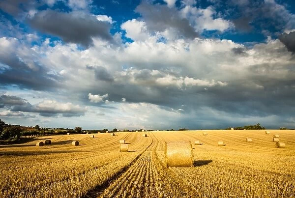 Baled field, Gloucestershire, England, United Kingdom, Europe