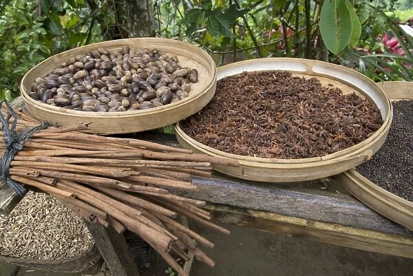 Balinese raw spices, Bali, Indonesia, Southeast Asia, Asia