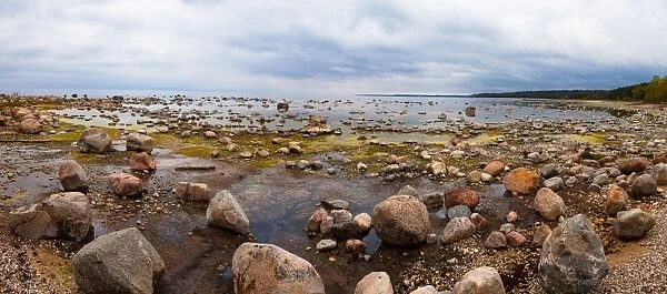 Baltic Sea coast with granite boulders on a cloudy day, Estonia, Europe