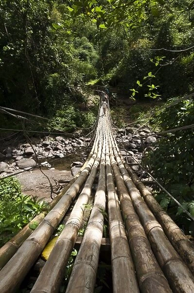 Bamboo bridge at Dark View Falls, St. Vincent and The Grenadines, Windward Islands