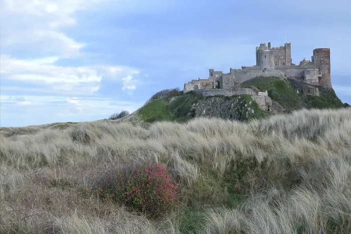 Framed Print : Bamburgh Castle, Bamburgh, Northumberland Coast, Northumbria, England, United Kingdom, Europe