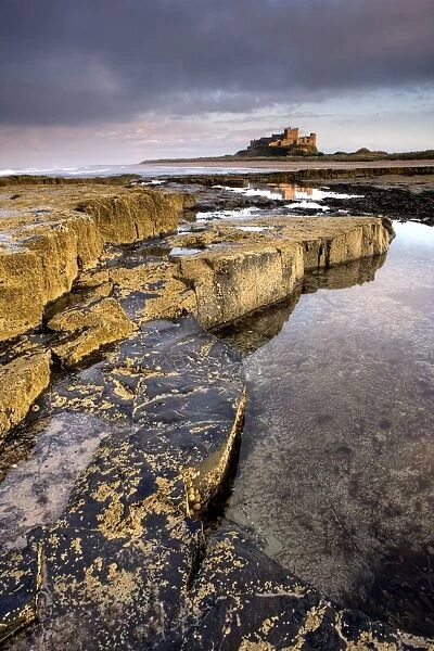 Bamburgh Castle bathed in evening light with foreground of barnacle-encrusted rocks