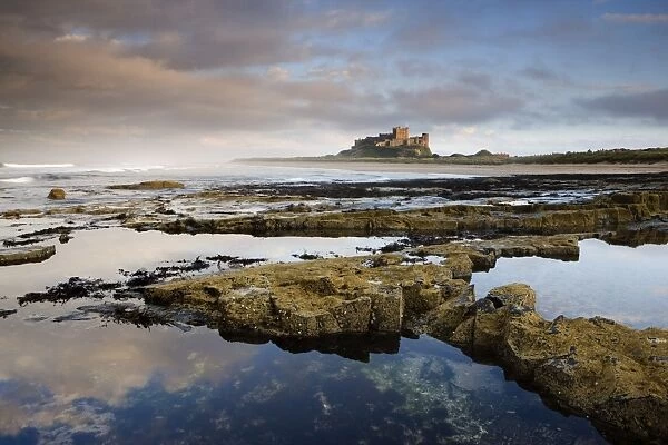 Bamburgh Castle bathed in evening light with foreground of barnacle-encrusted rocks