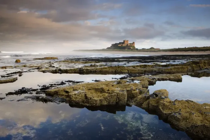 Framed Print : Bamburgh Castle bathed in evening light with foreground of barnacle-encrusted rocks Framed Print : Bamburgh Castle bathed in evening light with foreground of barnacle-encrusted rocks