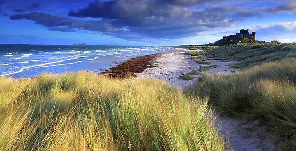 Bamburgh Castle and beach, Northumberland, England, United Kingdom, Europe