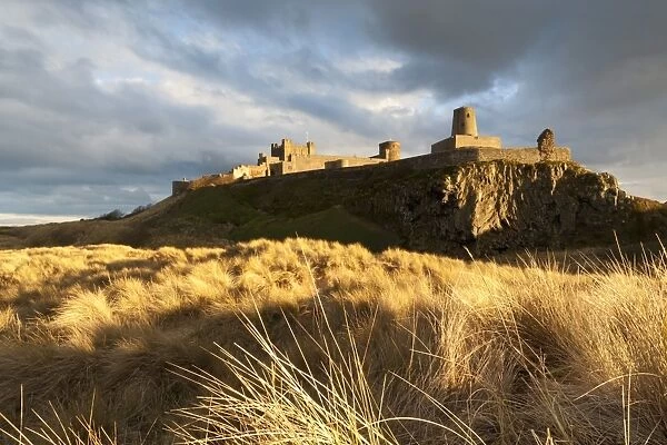 Bamburgh Castle and dune marram grass bathed in golden evening light, Bamburgh, Northumberland, England, United Kingdom, Europe
