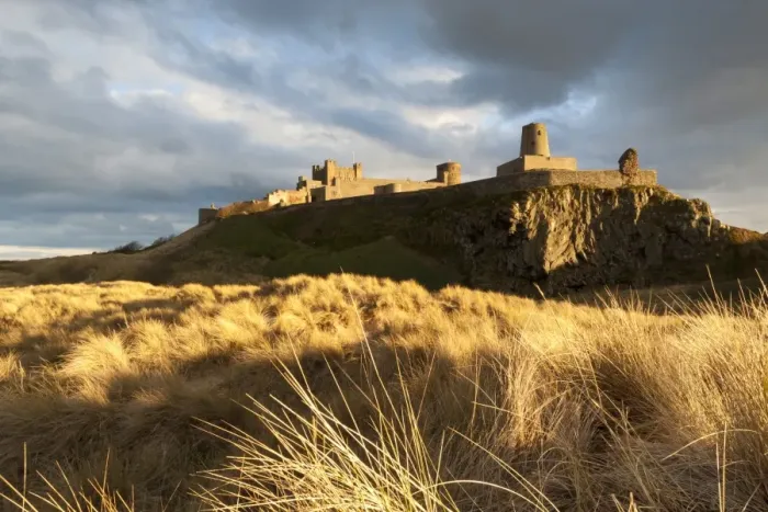 Framed Print : Bamburgh Castle and dune marram grass bathed in golden evening light, Bamburgh, Northumberland, England, United Kingdom, Europe Framed Print : Bamburgh Castle and dune marram grass bathed in golden evening light, Bamburgh, Northumberland, England, United Kingdom, Europe