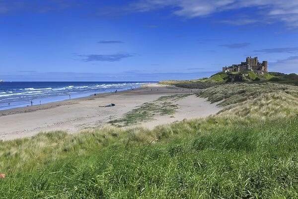 Bamburgh Castle across the dunes, early summer afternoon, Northumberland, England
