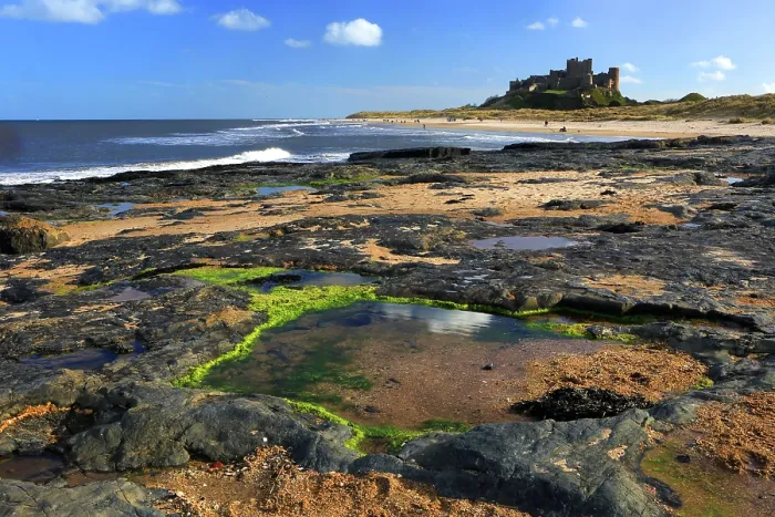 Framed Print : Bamburgh Castle, Northumberland, England