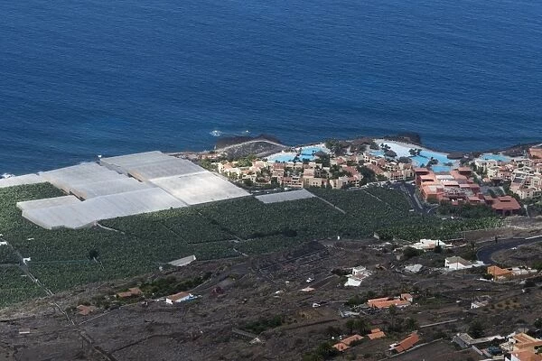 Banana plantations, El Remo, La Palma Island, Canary Islands, Spain, Atlantic, Europe